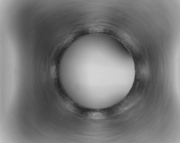 X0000116150224200911301547