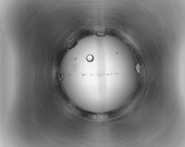 X0000116150225200911301547