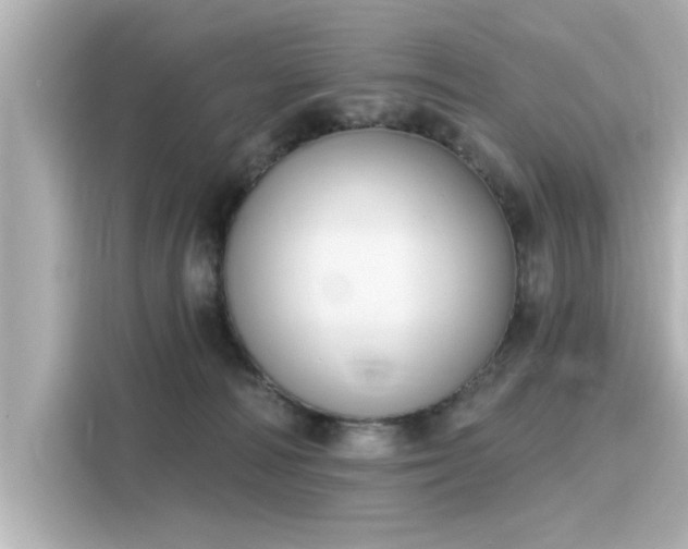 X0000116150226200911301547