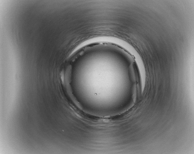 X0000116150227200911301547