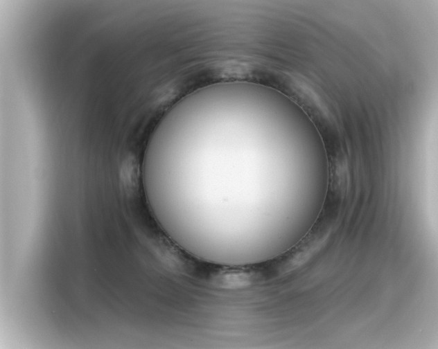 X0000116150228200911301547