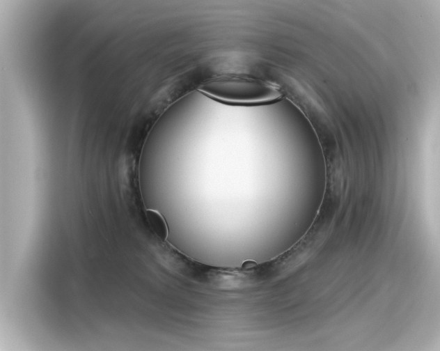 X0000116150229200911301547