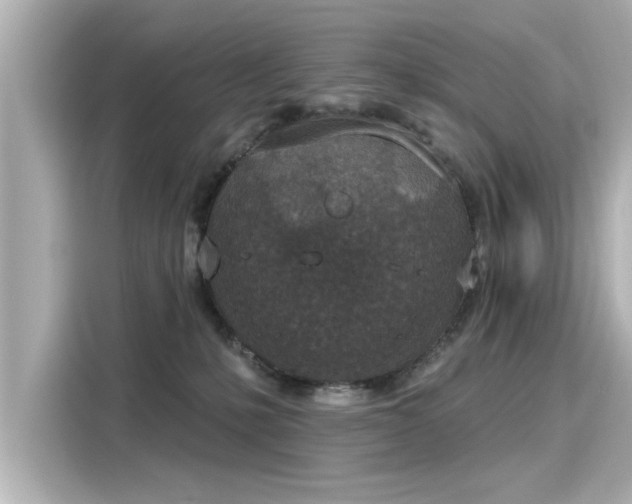 X0000116150231200911301547