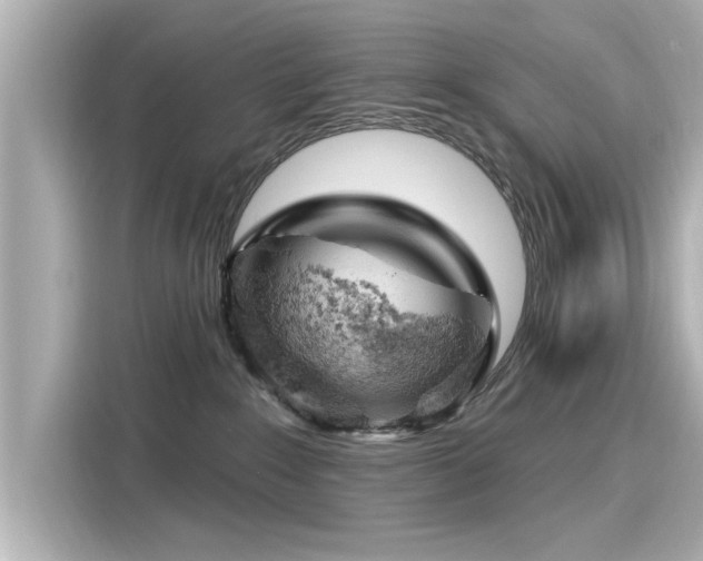 X0000116150235200911301547