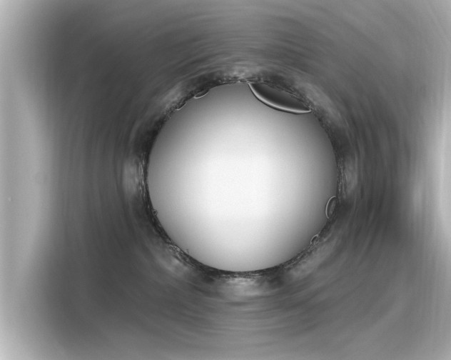 X0000116150236200911301547