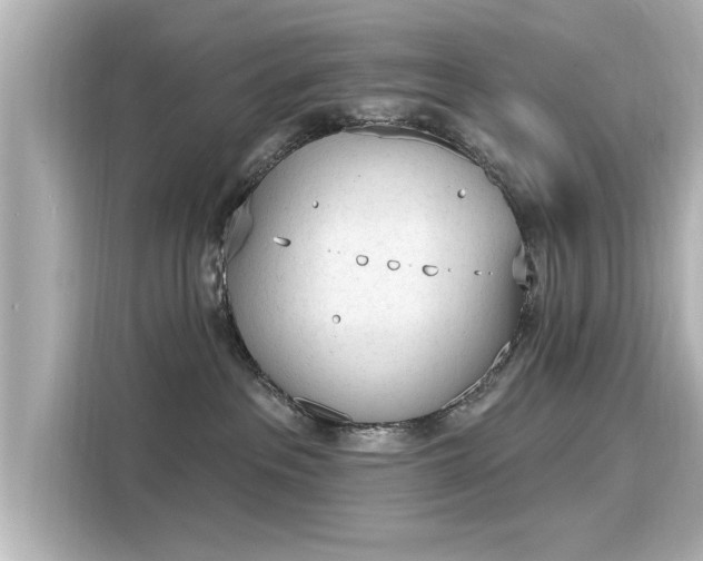 X0000116150237200911301547