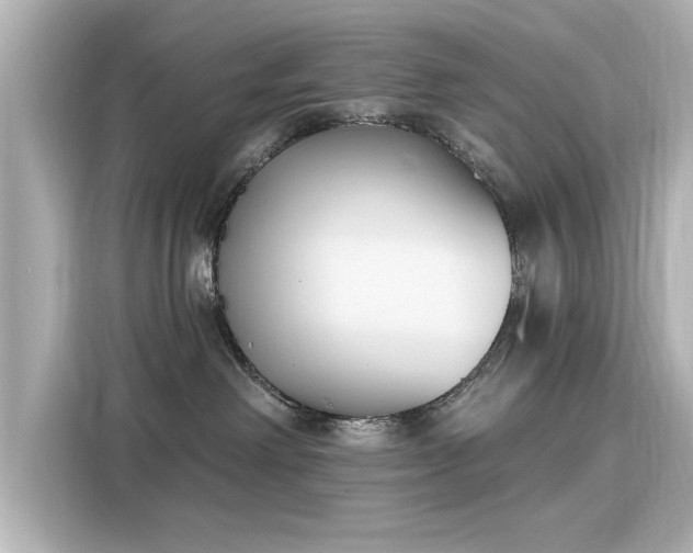 X0000116150238200911301547