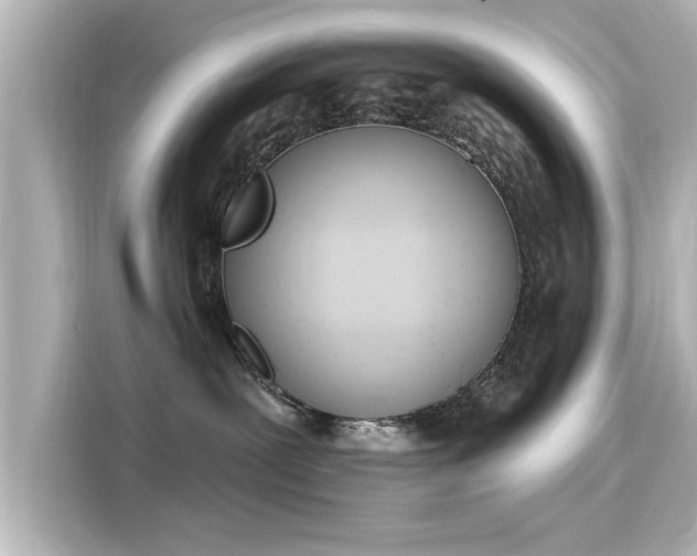 X0000116150239200911301547