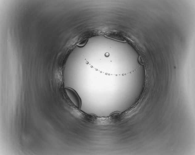 X0000116150240200911301547