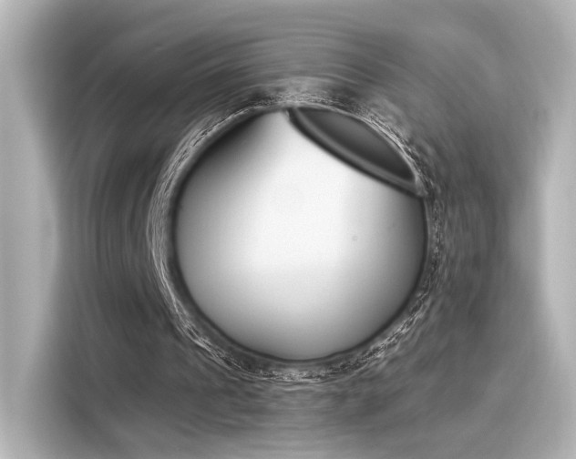 X0000116150241200911301546