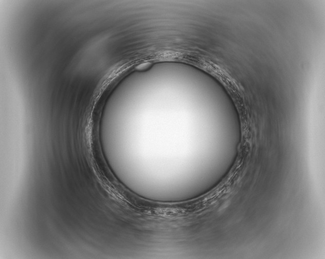 X0000116150242200911301546