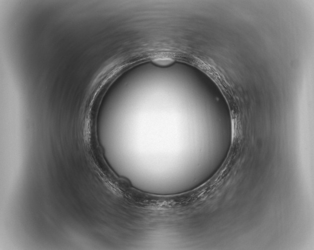 X0000116150243200911301546