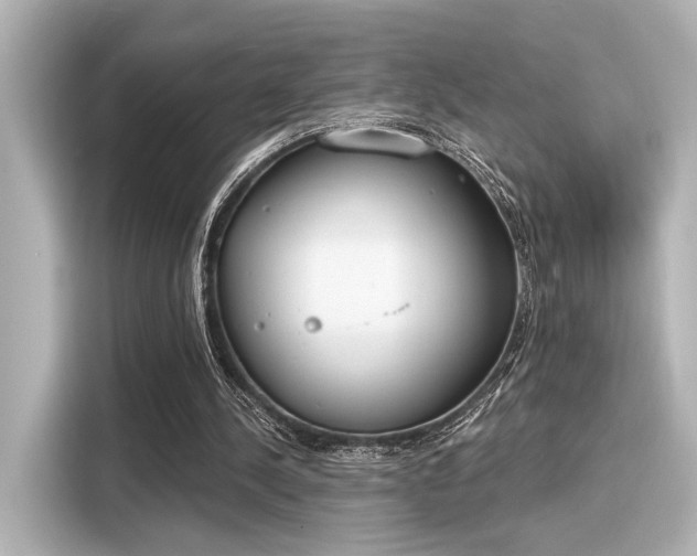 X0000116150244200911301546