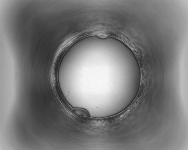 X0000116150245200911301546