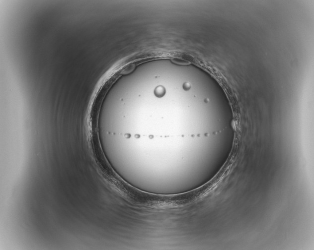 X0000116150246200911301546