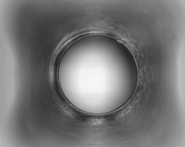 X0000116150247200911301546