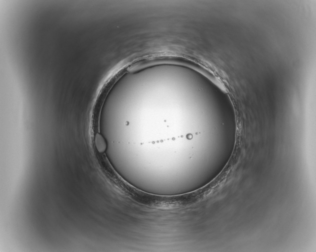 X0000116150248200911301546