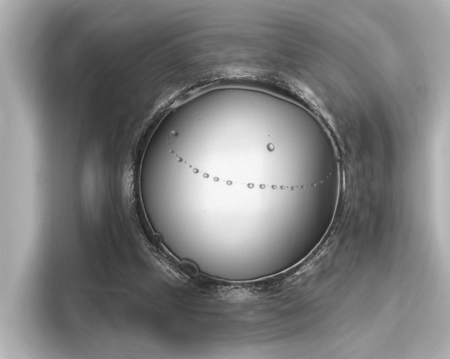 X0000116150249200911301546