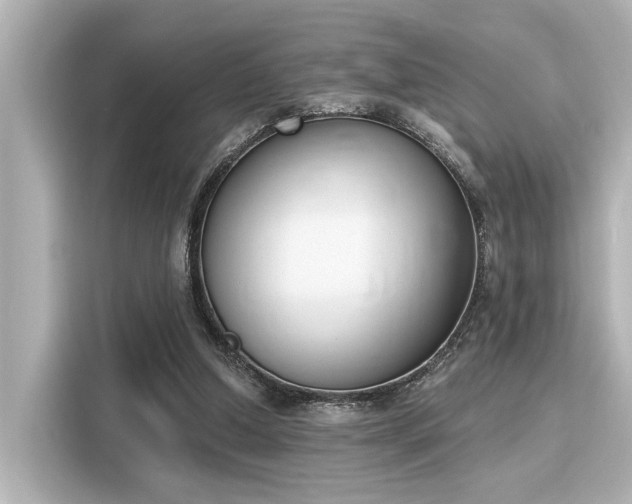 X0000116150250200911301546