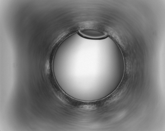 X0000116150251200911301546