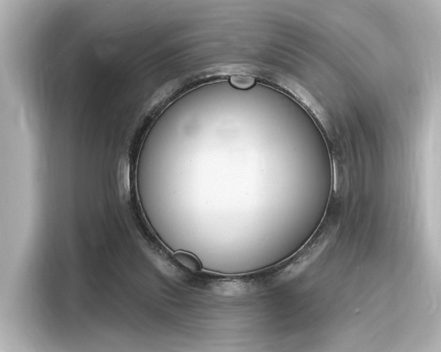 X0000116150253200911301546