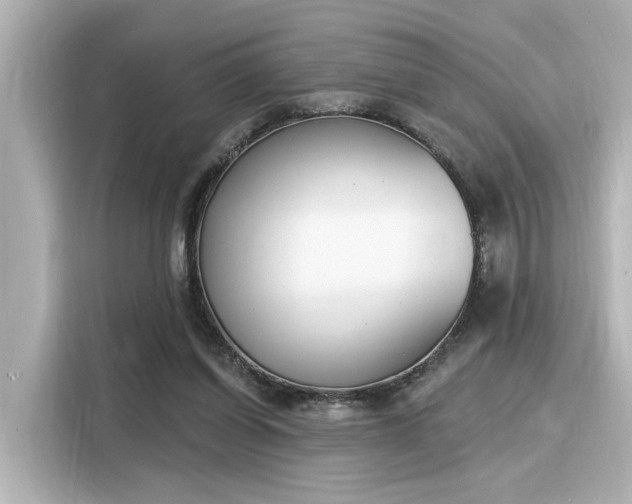 X0000116150254200911301546