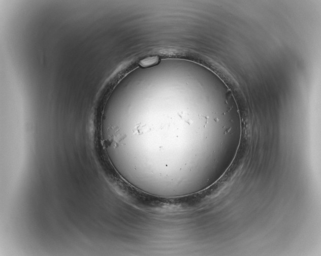 X0000116150256200911301546