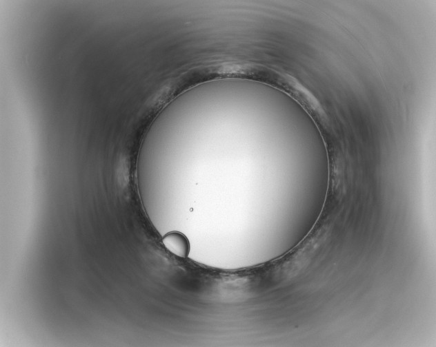 X0000116150257200911301546