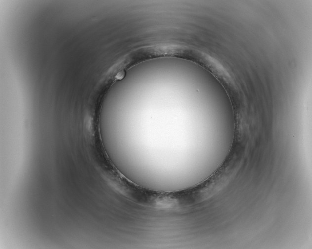 X0000116150258200911301546