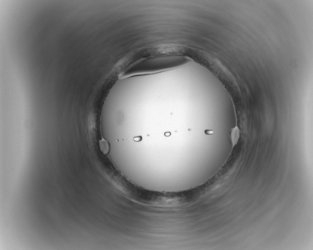 X0000116150260200911301546