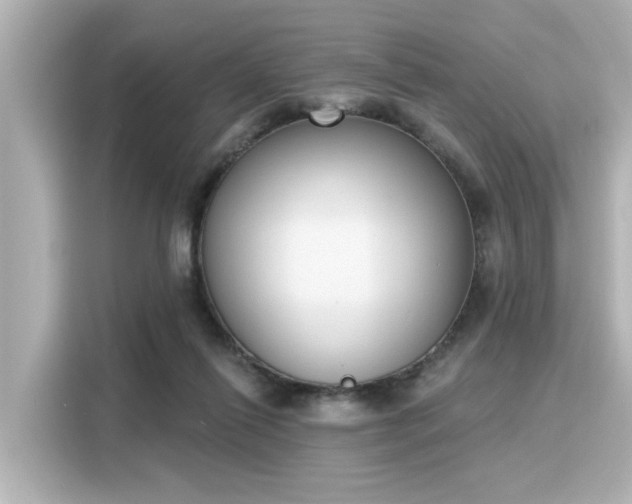 X0000116150262200911301546