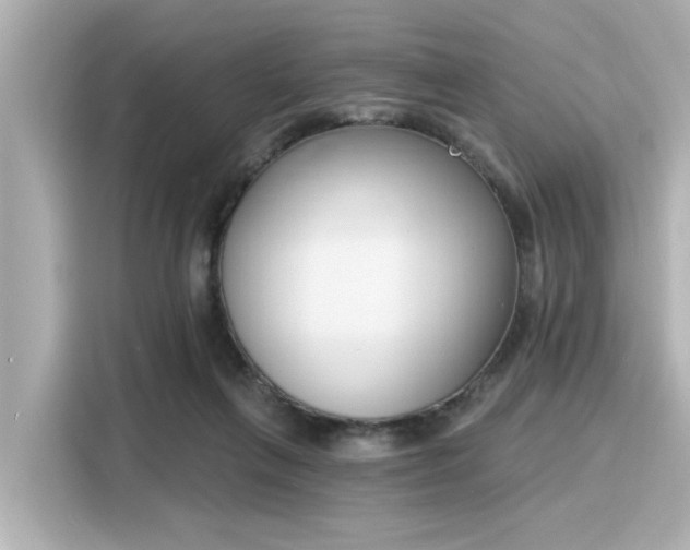 X0000116150263200911301546