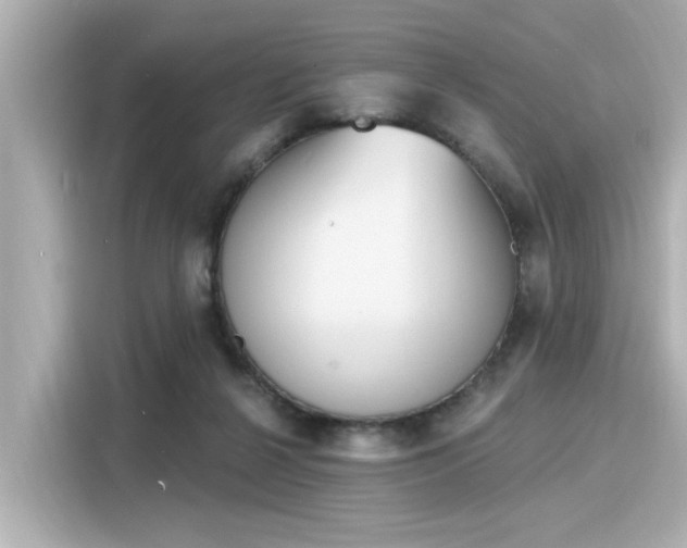 X0000116150264200911301546