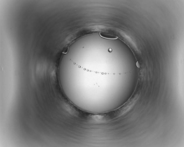 X0000116150265200911301546