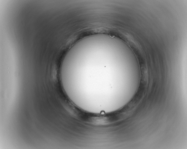 X0000116150266200911301547