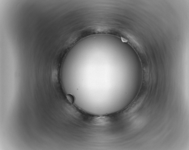 X0000116150269200911301547