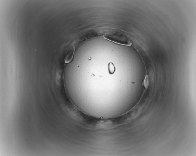 X0000116150271200911301547