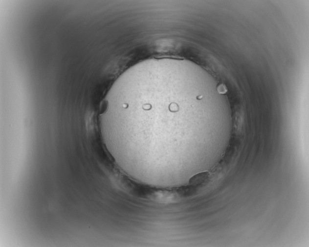 X0000116150272200911301547