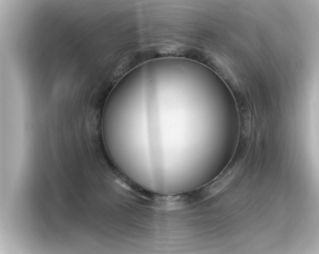 X0000116150273200911301547