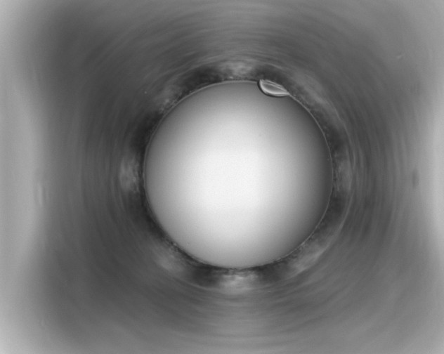 X0000116150274200911301547