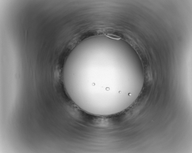 X0000116150276200911301547