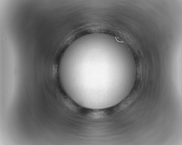 X0000116150278200911301547