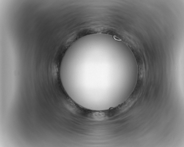 X0000116150279200911301547