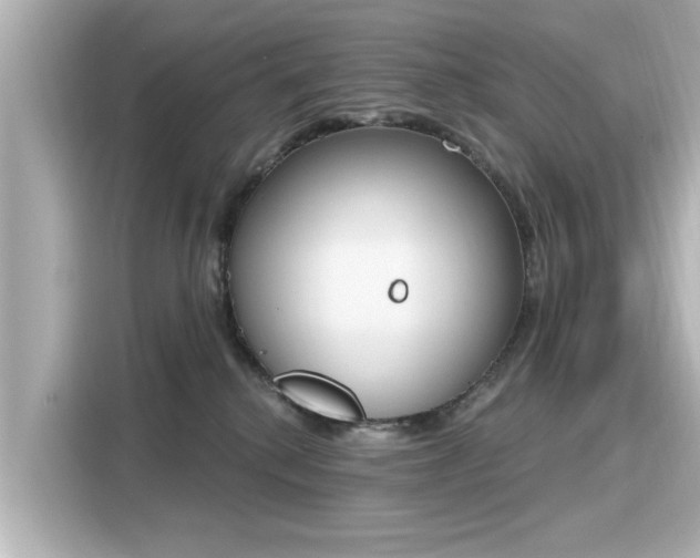 X0000116150280200911301547