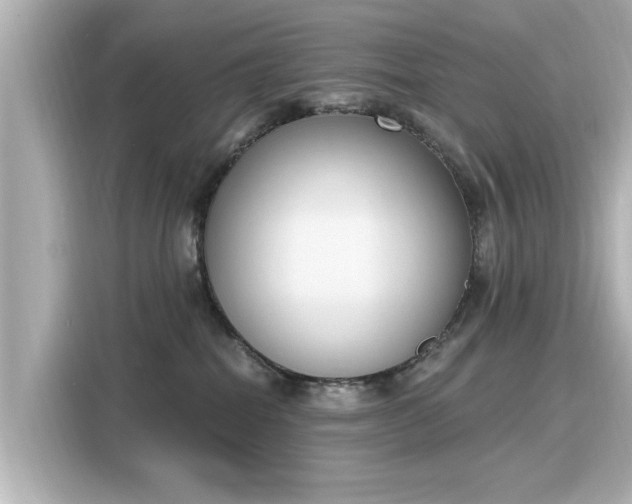 X0000116150282200911301547