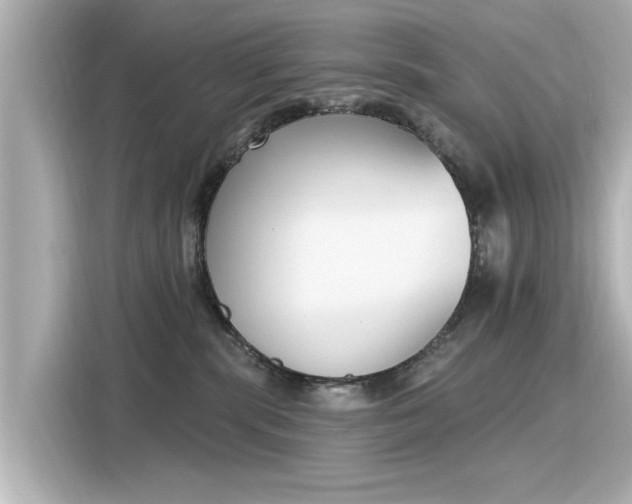 X0000116150283200911301547