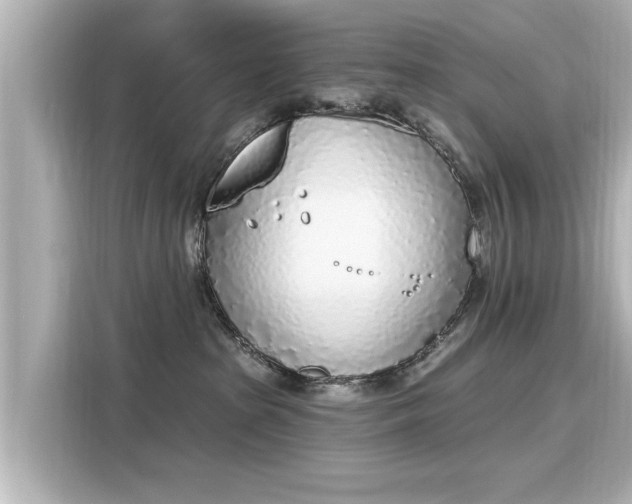 X0000116150285200911301547