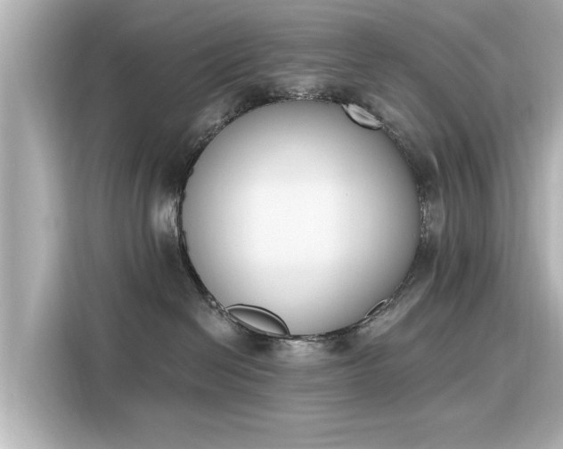 X0000116150286200911301547