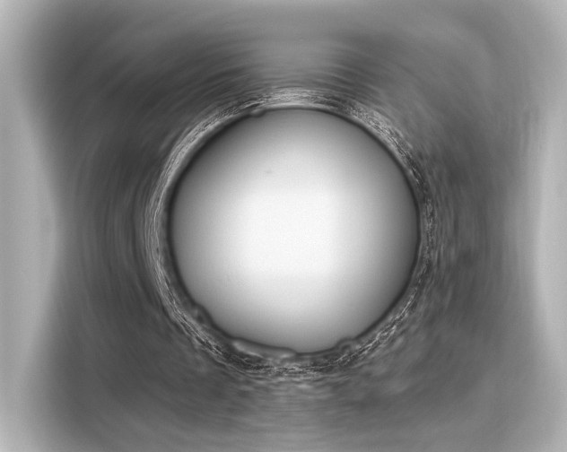 X0000116150289200911301546