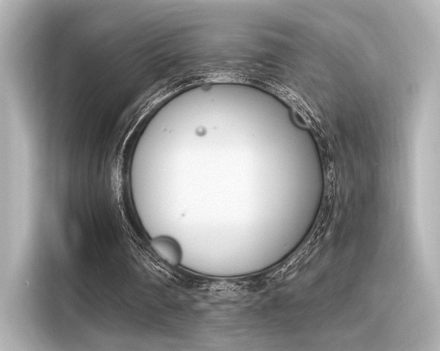 X0000116150290200911301546